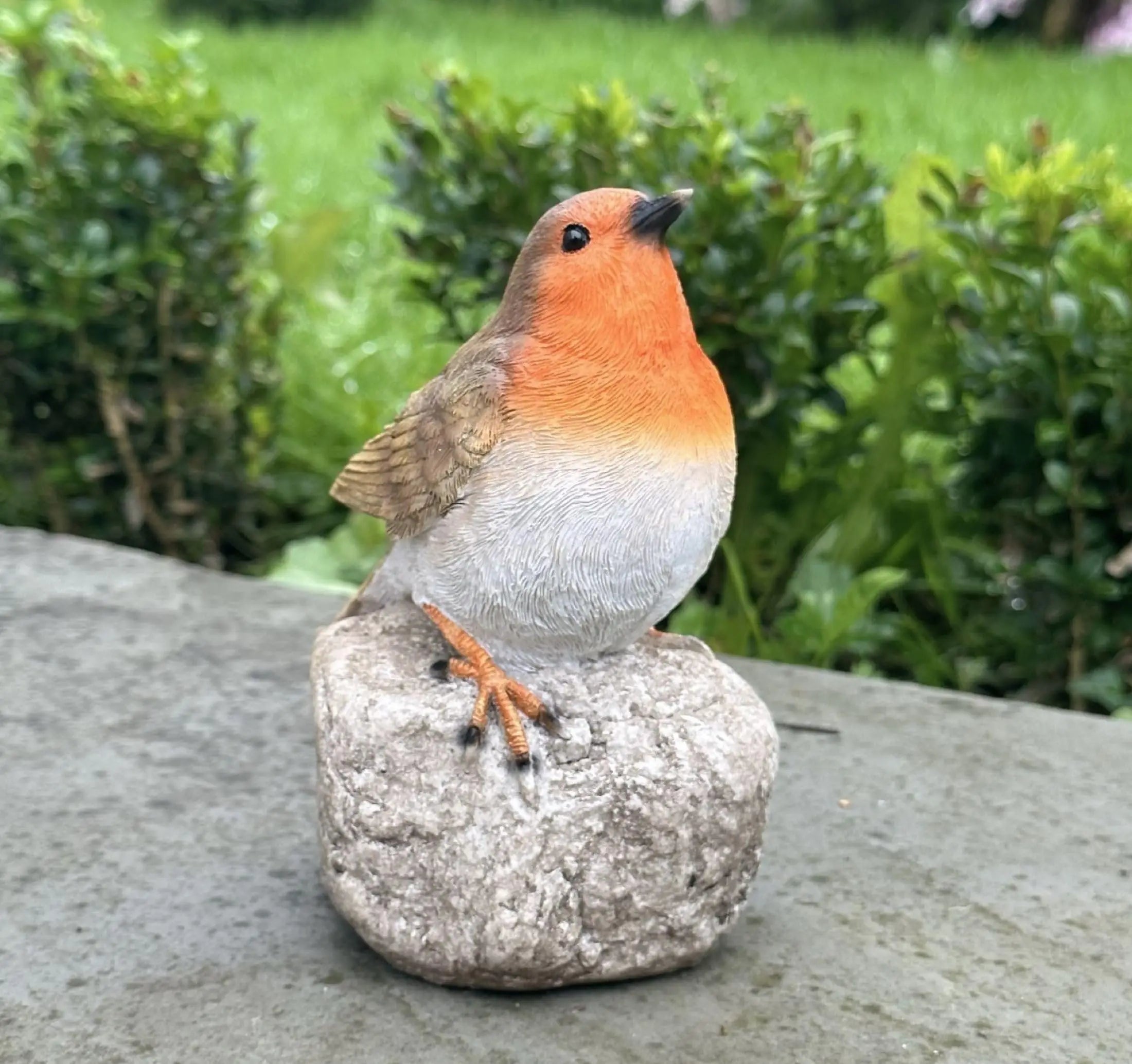 Sa87be7fa3e4c43ee9be28c7d3723747aG